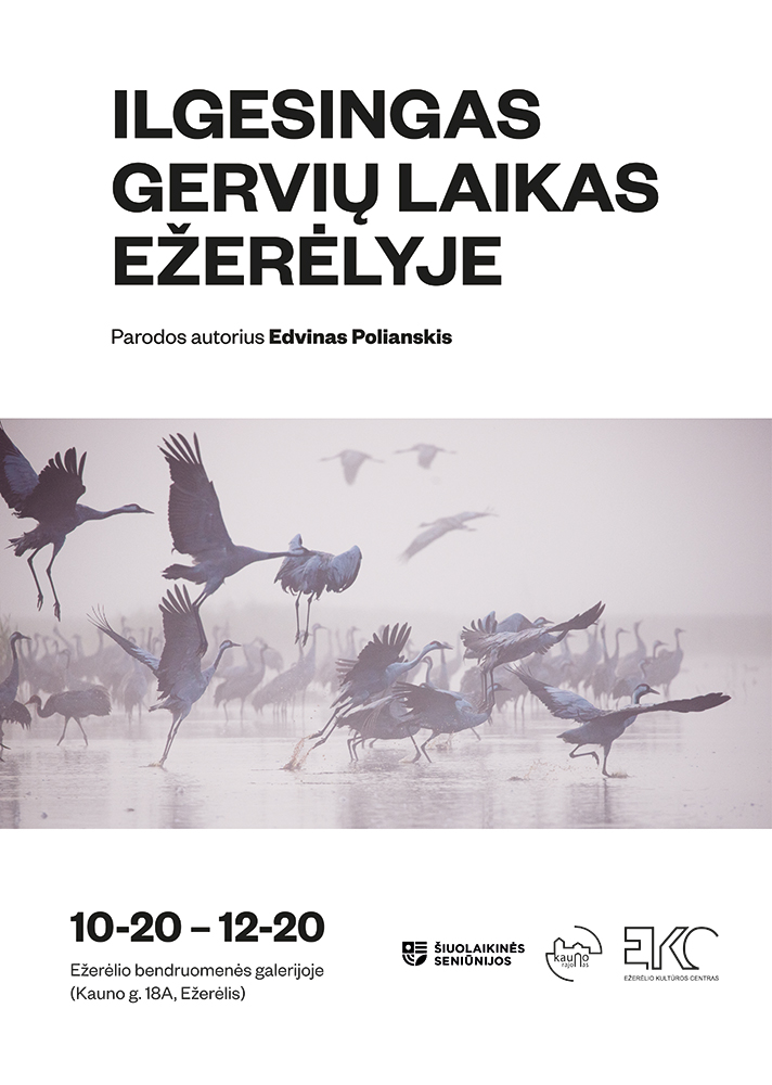 Ilgesingas gervių laikas Ežerėlyje plakatas