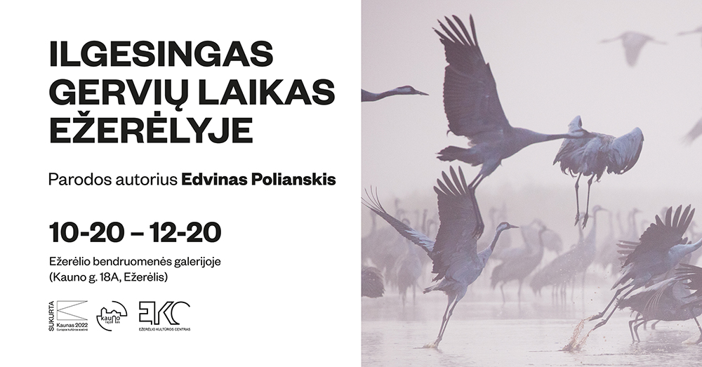 Ilgesingas gervių laikas Ežerėlyje