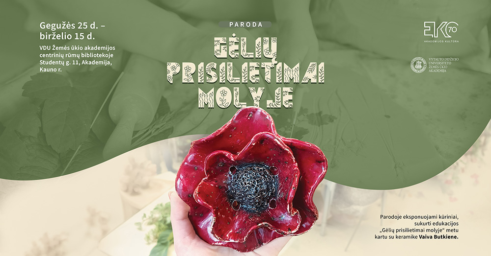 Gėlių prisilietimai molyje